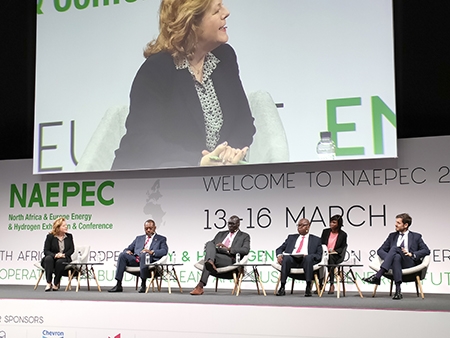  NAEPEC 2023 pone el foco en la transición energética