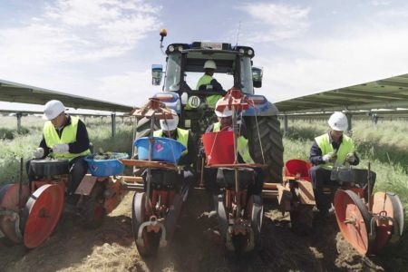  Asociaciones de España y Portugal se unen para impulsar la agrovoltaica en la península ibérica