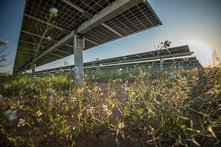  Lightsource bp desarrollará 19 proyectos solares en los que invertirá 1.200 millones de euros