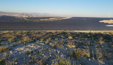  Esasolar suministra e instala sus estructuras en la planta fotovoltaica más grande de Europa