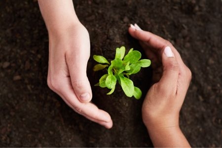  Lamaignere lanza el Green Plan 2030 enfocado en la sostenibilidad medioambiental y la responsabilidad corporativa