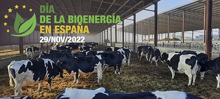  La bioenergía aporta el 9% de la toda energía consumida en España