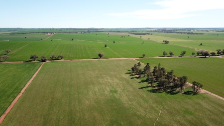  FRV firma un acuerdo de financiación para una planta solar en Australia