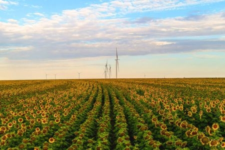  Amazon anuncia 17 nuevos proyectos de energía eólica y solar en España