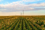  Amazon anuncia 17 nuevos proyectos de energía eólica y solar en España