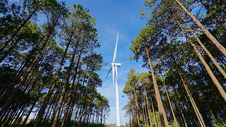  Iberdrola construirá en 2025 el mayor parque eólico de Portugal: 274 MW en un proyecto de 350 millones de euros