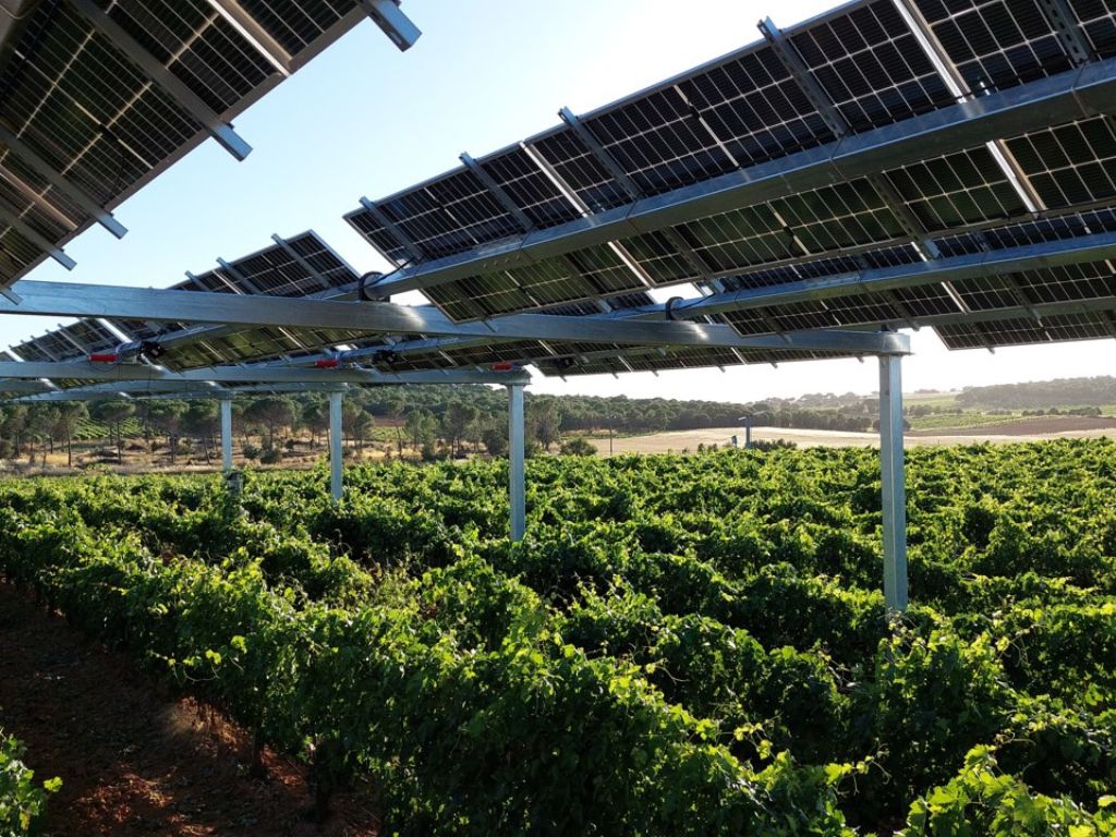 Agrovitivoltaica impulsa el desarrollo de un sistema agrivoltaico inteligente para mejorar la calidad de la producción en viñedos.