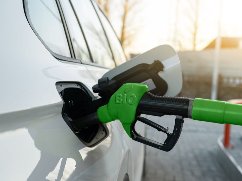 Hatta Energy recicla más de 110.000 metros cúbicos de aceites para producir biocombustibles sostenibles.