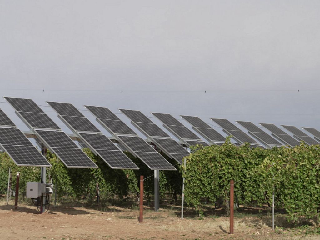 Iberdrola construirá la primera agrovoltaica para potenciar el cultivo de manzanas en País Vasco.