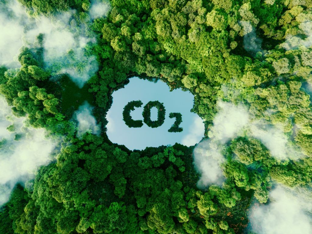 Por qué calcular y verificar la huella de carbono puede transformar tu empresa.
