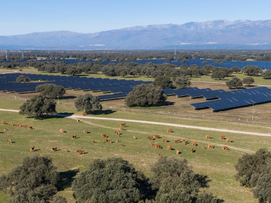 Statkraft obtiene la autorización ambiental para la planta solar Pinea en Cáceres.