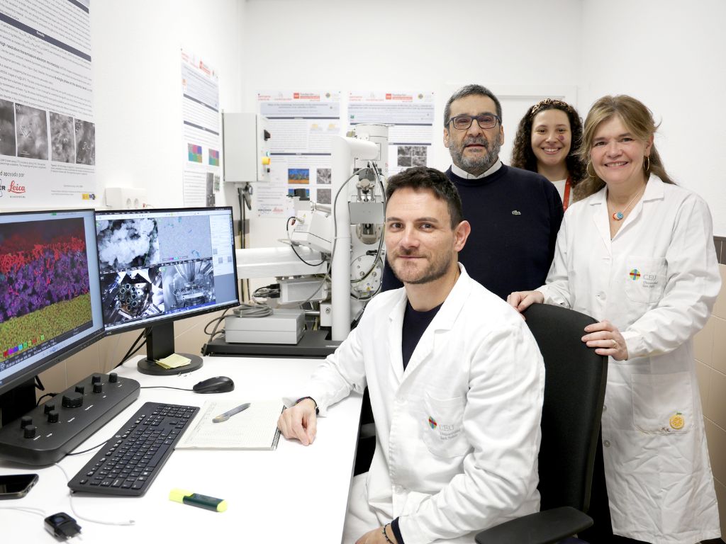 Investigadores del CEU San Pablo desarrollan nuevos materiales para mejorar las pilas de combustible.