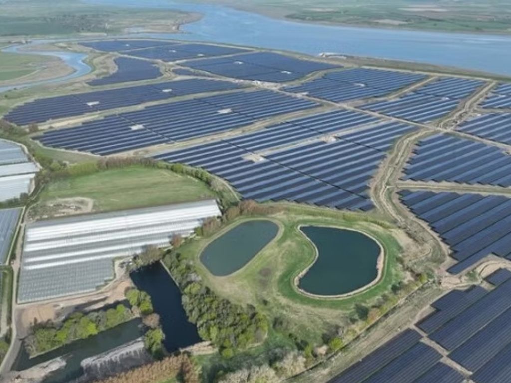 RES gestionará la mayor planta solar del Reino Unido: Cleve Hill, con 373 MW de capacidad.