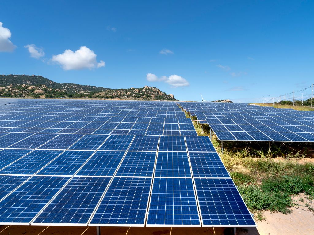 Asociación Nacional de Productores de Energía Fotovoltaica (Anpier) Recorte ingresos Decreto antiapagones 