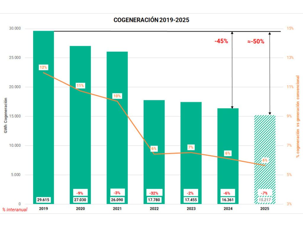 Industria y cogeneración: inversiones listas para relanzar la competitividad.
