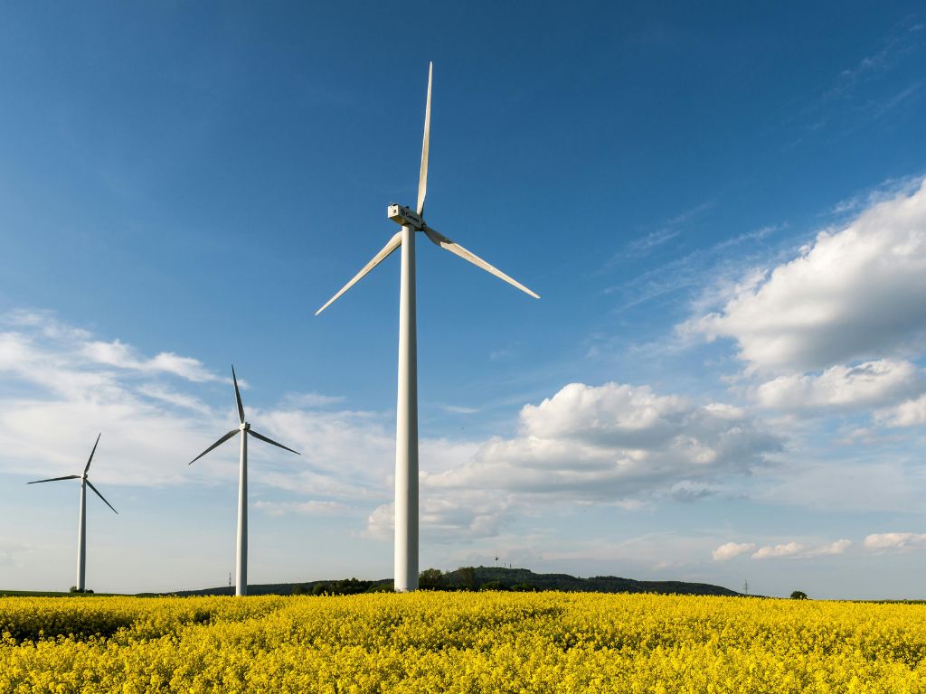 Red electrica tensión renovables