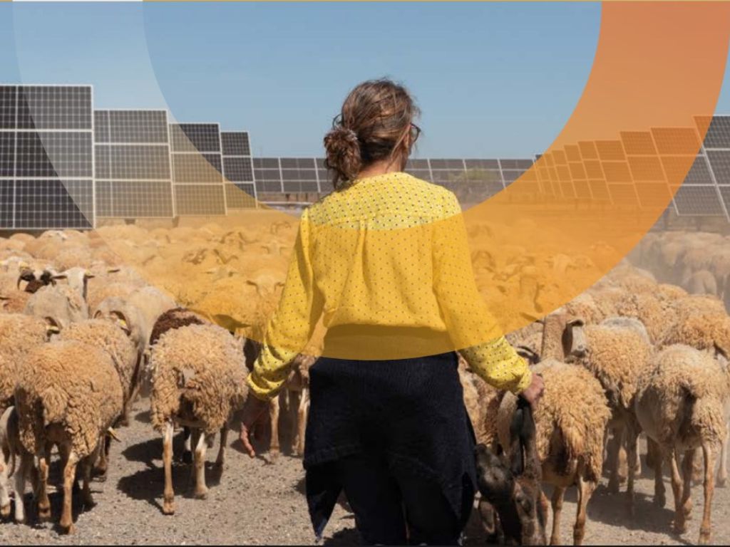 El sector fotovoltaico reclama medidas para mantener su crecimiento ante la caída del autoconsumo.