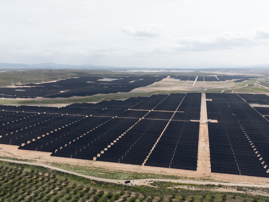 BNZ pone en marcha tres nuevas plantas solares en Almería con 150 MW de potencia instalada.