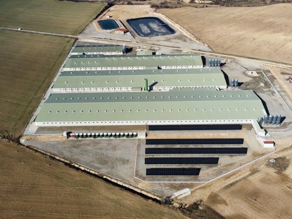 Hibridación diésel-fotovoltaica para núcleo de reproducción porcina.