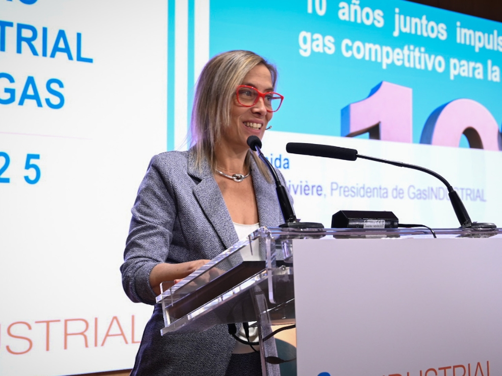 La industria gasintensiva reclama un gas competitivo para garantizar la reindustrialización y la descarbonización.