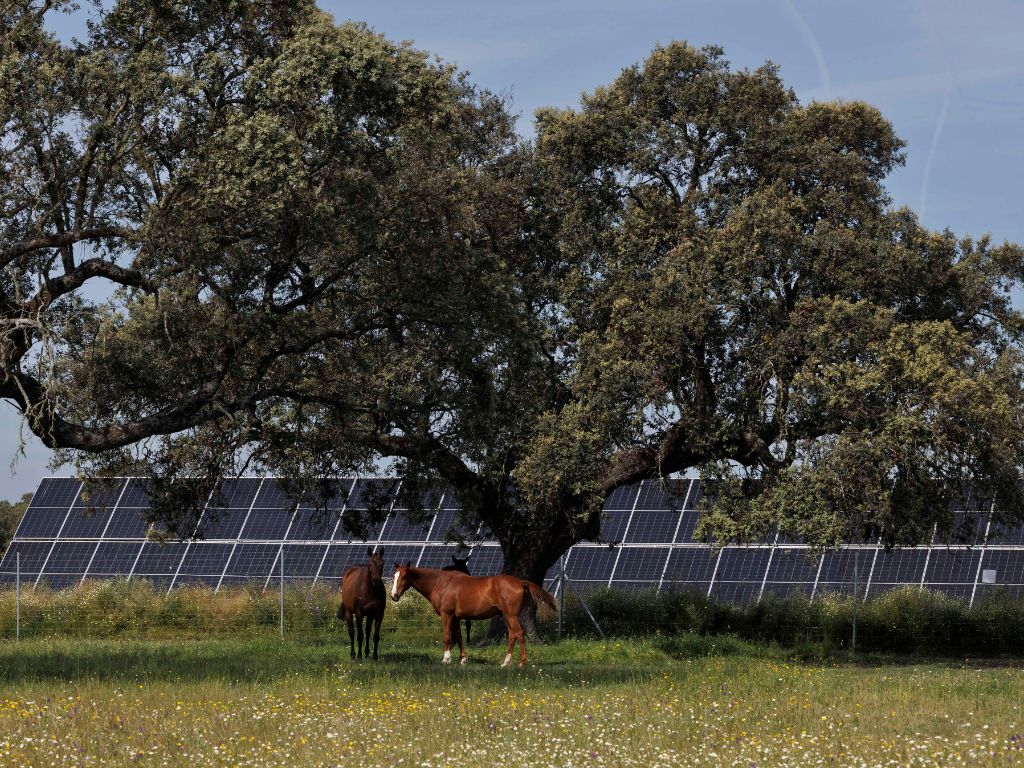 Statkraft avanza en el desarrollo de dos plantas solares en Cáceres.