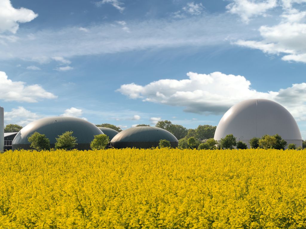 Edison Next adquiere el negocio de tratamiento de purines de Iberdrola: 52 MW operativos y 340 GWh de biometano en desarrollo.