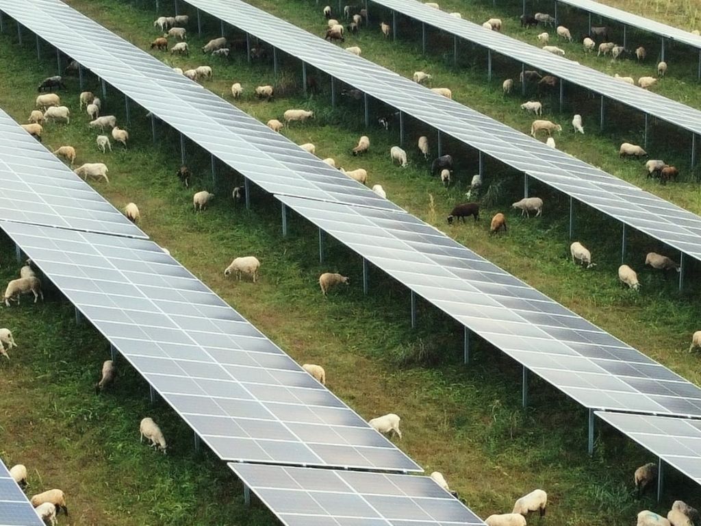 El 84,2% de los españoles considera la fotovoltaica una tecnología viable y sostenible, según un estudio de UNEF.