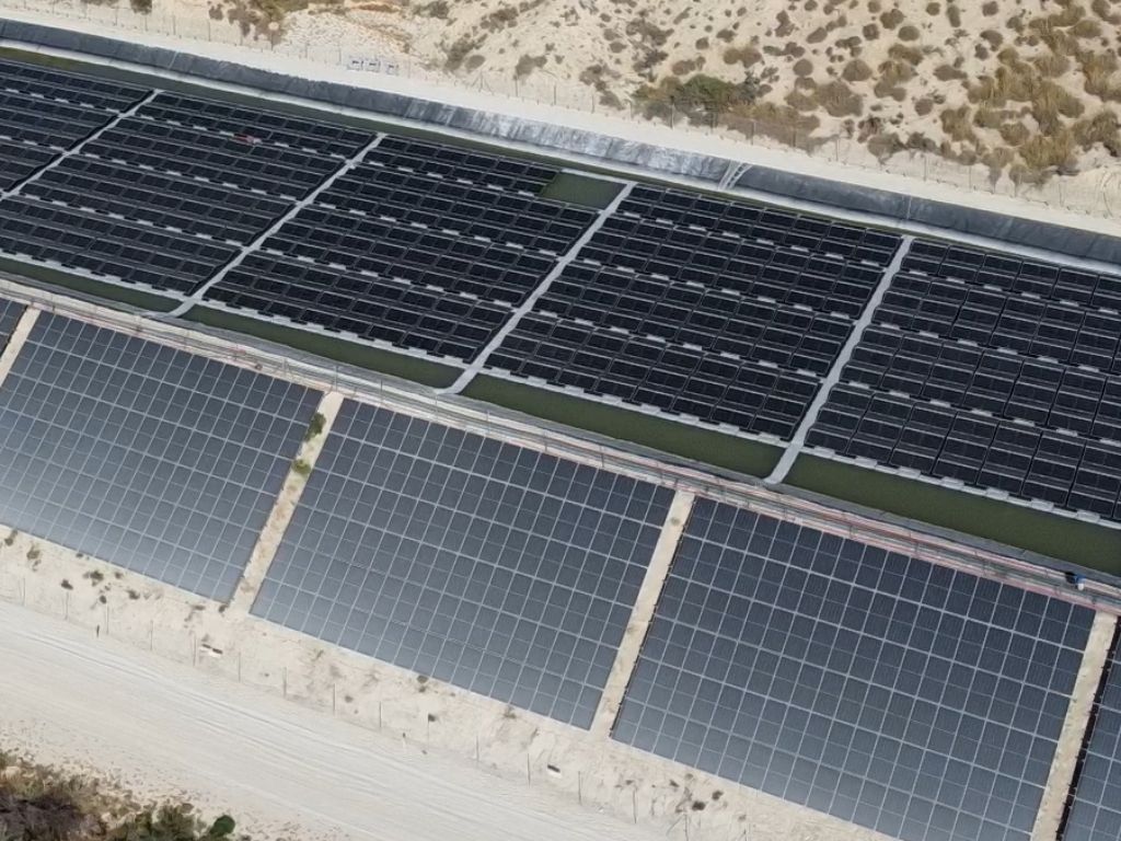 El bombeo solar: innovación energética para una agricultura sostenible.