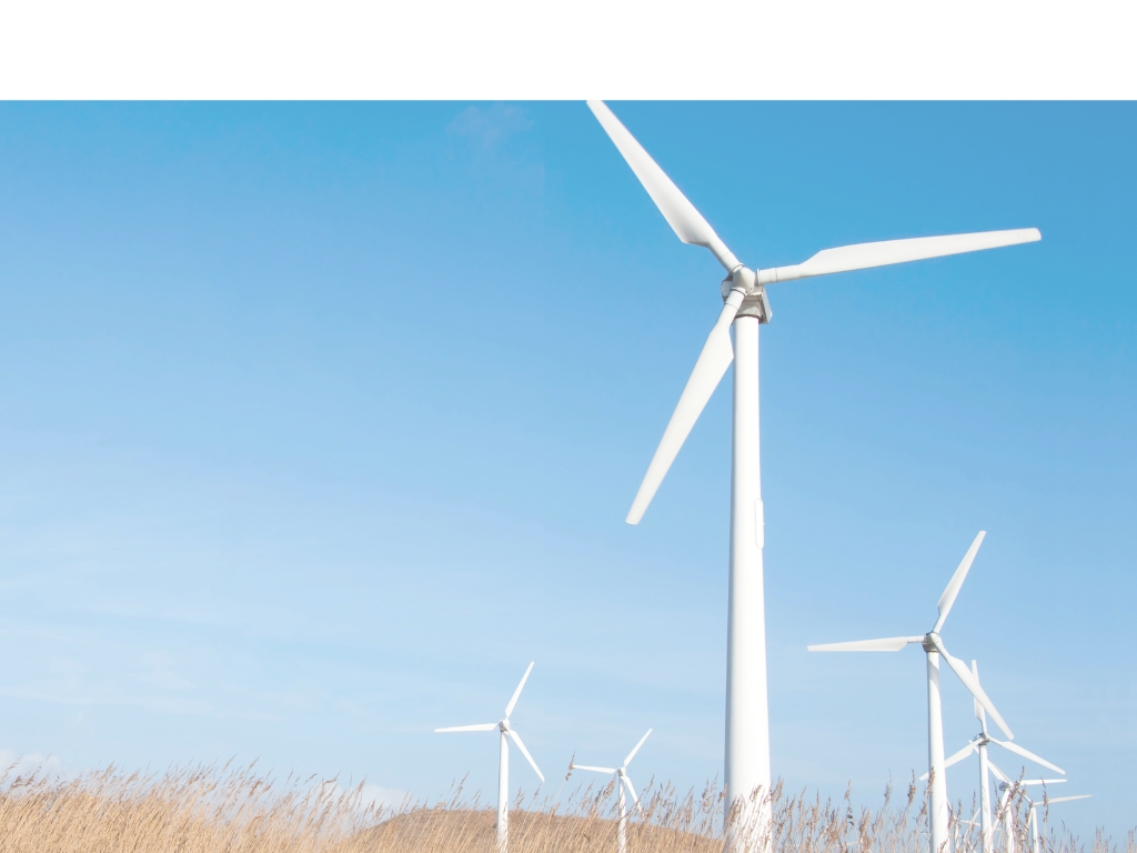 Aerogeneradores Campo