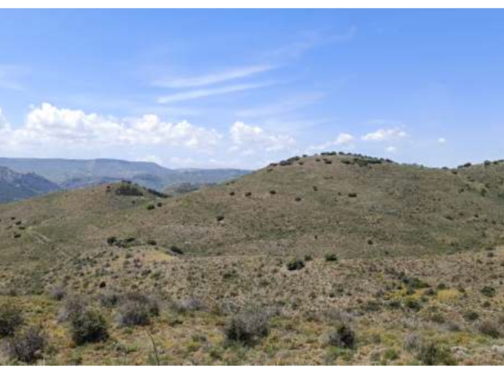 Forest Makers by Sierra Nevada, proyecto de restauración hidrológico-forestal ubicado en Montalbán, Teruel.