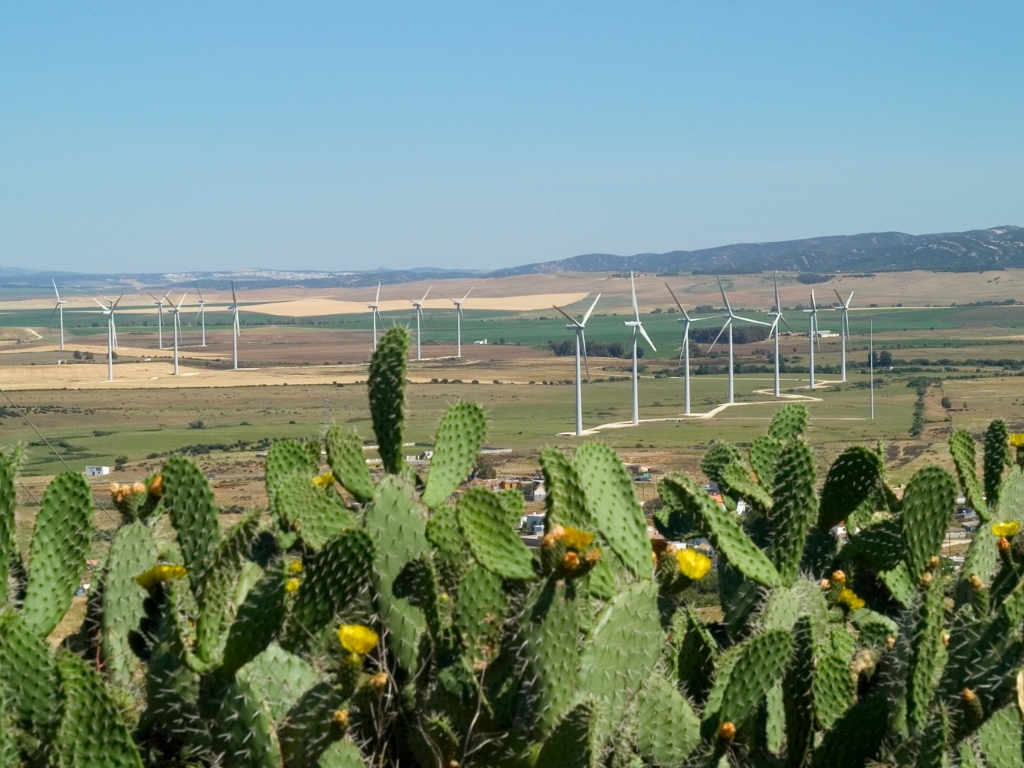 Parque eólica La Herrería (Cádiz) antes de la repotenciación