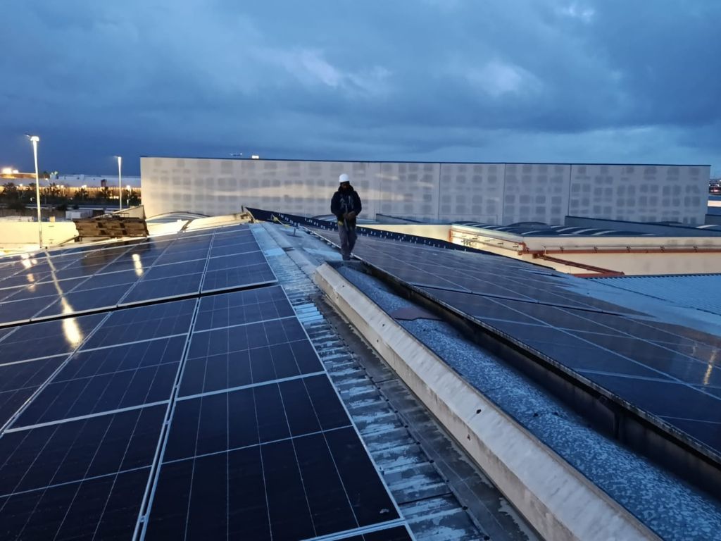 ALUMNA NET ZERO