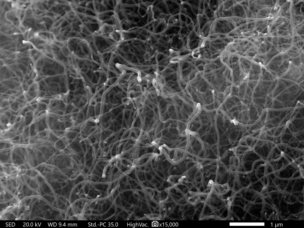 Figura 3- Caracterización SEM del carbono - estructuras tipo nanotubo (TECNALIA)