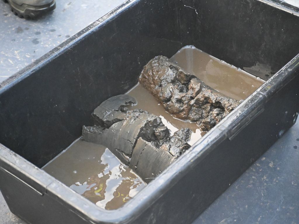 Núcleos de sedimento marino tomado como muestra para desarrollar la investigación.