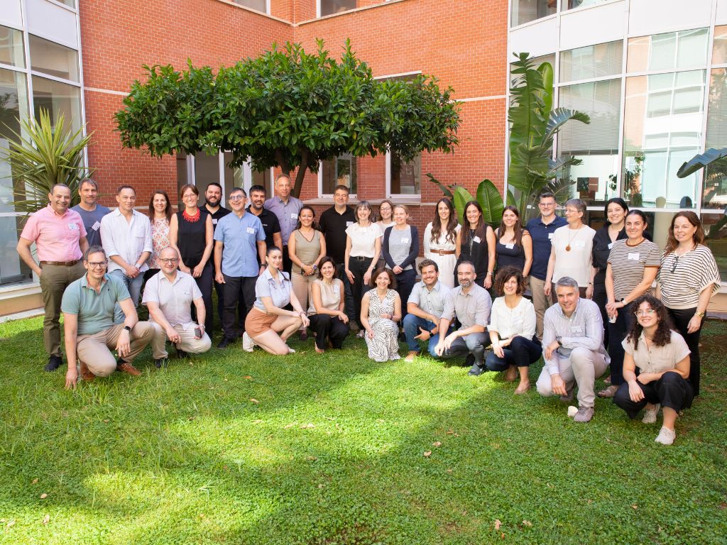 proyecto europeo BRISA