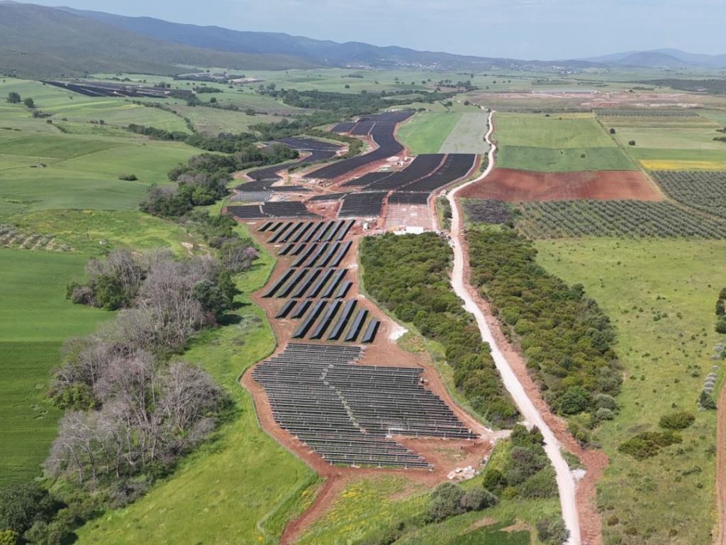 Longi y Faria Renewables