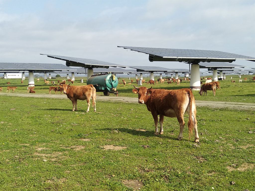 Velto Renewables