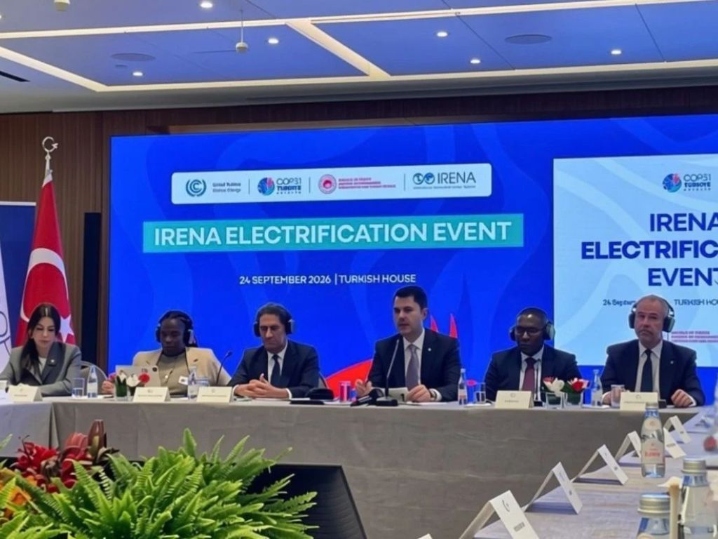 Agencia Internacional de Energías Renovables (IRENA)