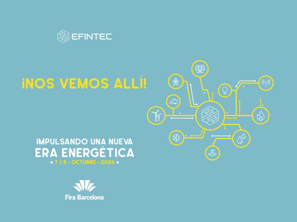 Viessmann EFINTEC