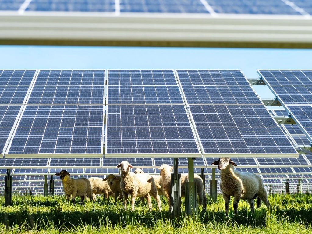 UNEF ESTUDIO SOLAR